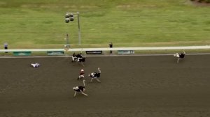 Необычные и СМЕШНЫЕ Виды СПОРТА топ-10