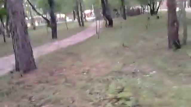 Видео про Динопарк, папе. смотреть онлайн
