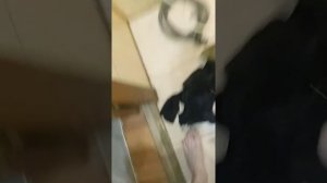 стиральная машина волна.