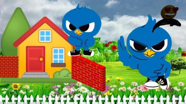 two little blue birds