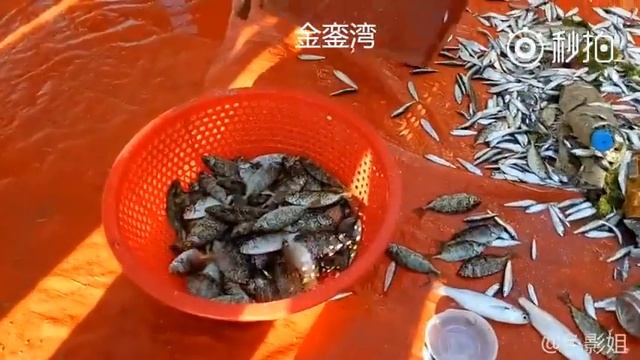 Three-day tour in Dongshan Islan of Zhangzhou City. смотреть онлайн