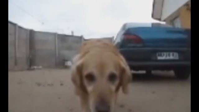 test_slow_jacinta_360 fps. (Samsung WB2100). смотреть онлайн