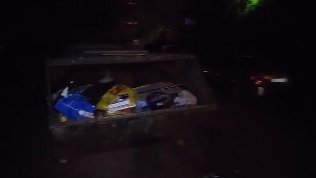 Крысы в Перми смотреть онлайн