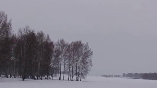 Лоси смотреть онлайн