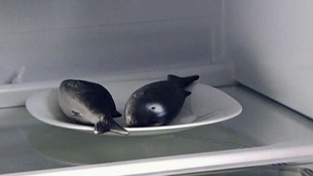 Холодильники ATLANT серии 4700 CLASSIC