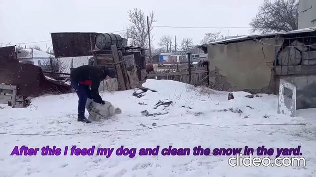 #a day in the life of a teacher #один день учителя #режим дня #English week #English teacher смотреть онлайн