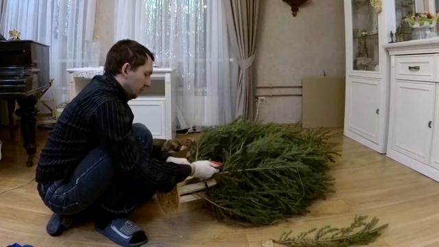 Как поставить елку смотреть онлайн