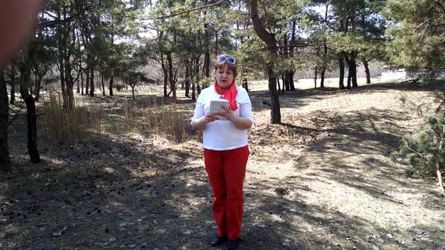 Авторские стихи ЗДРАВСТВУЙ ЛЕС смотреть онлайн