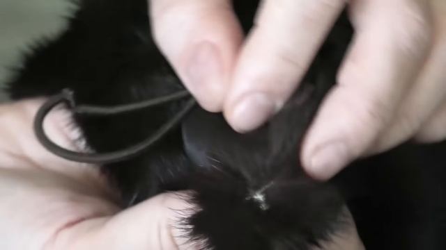 УЖАС!!! Купила? за 105 000 р. в Снежной Королеве?Развели по полной!!! смотреть онлайн