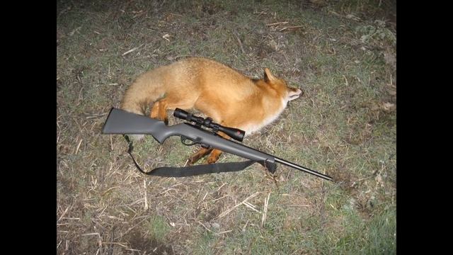 Муки выбора :Мелкашка или ... смотреть онлайн