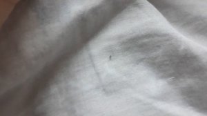 странные жучки на кровати🥶