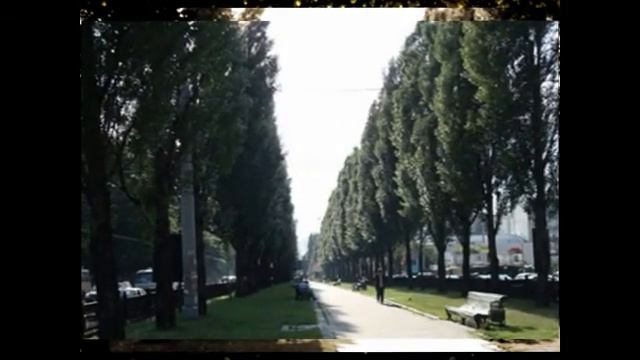 Тополя смотреть онлайн
