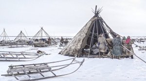 Путешествие в тундру. Сколько стоит ночь в чуме. Туры на Ямал. Цены. Северное сияние. Олени.