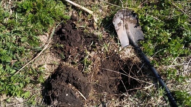 Раскопки на месте древнего стекольного завода смотреть онлайн