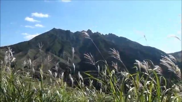 Le vent se lève, il faut tenter de vivre смотреть онлайн