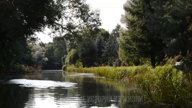 НАГНУЛ В ПОДСОБКЕ СДЕЛАЛА ПРИЯТНО. Интересные истории. Жизненные истории и аудио рассказы смотреть онлайн