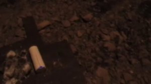 Обработка омшаника серой