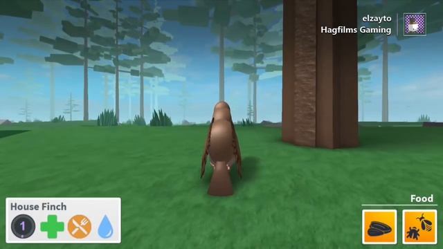 How to play ROBLOX ON XBOX ONE FOR FREE IN THE UK!!! смотреть онлайн