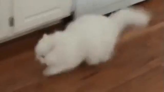 Когда вспомнила что час назад поставила варить картошку ? смотреть онлайн