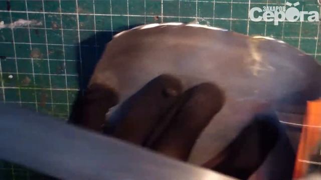 Листовой алюминий из алюминиевых банок смотреть онлайн