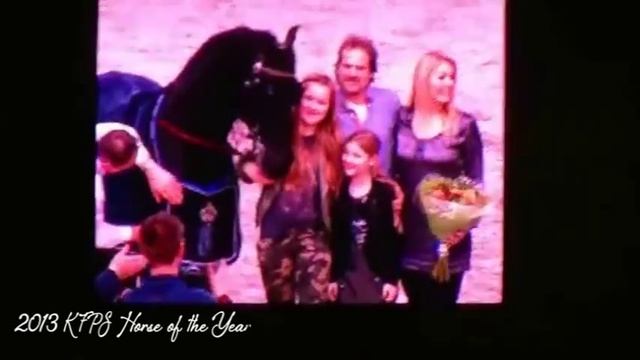 Norbert 444 Sport - Signature Friesians