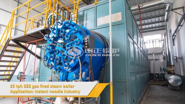25 tph gas fired condensing steam boiler for instant noodle industry смотреть онлайн