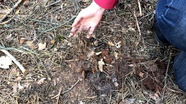 Грунт для лохини. Робимо самі. смотреть онлайн