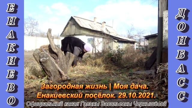 "Дачные истории". 29.10.2021 | Ломать - не строить. смотреть онлайн