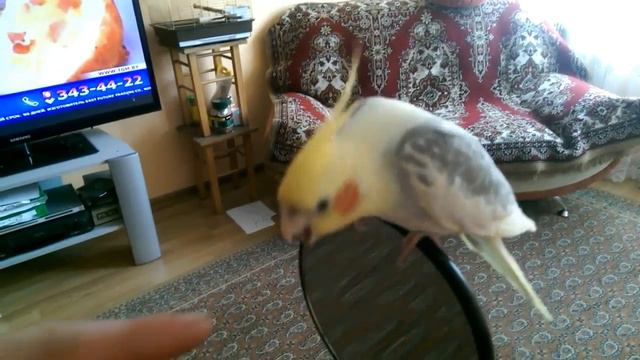 Трюки на зеркале Tricks on the Mirror смотреть онлайн
