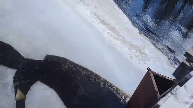 ЛЕДОХОД - 2022. смотреть онлайн