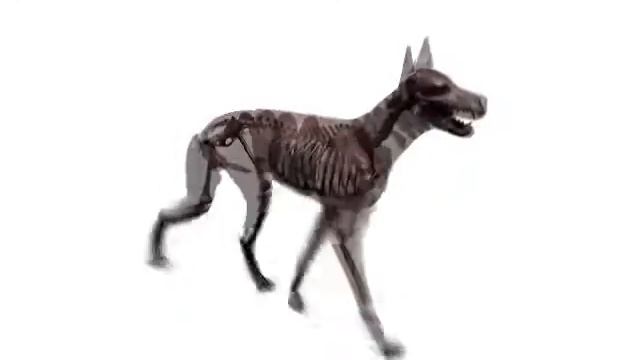 Modal Locomotion Dog Trot смотреть онлайн