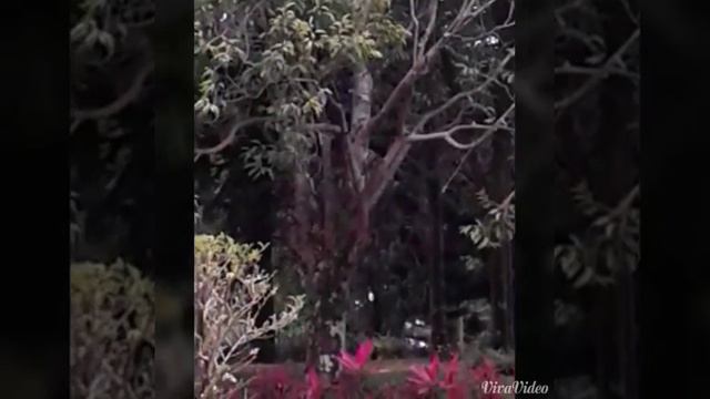 Артур "Забыть нельзя" смотреть онлайн