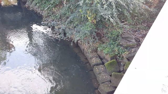 ИдеальныеКаменныеКубы раскиданы в большомКоличестве на середине реки Мегалиты.Мегамосты. Леонардушк смотреть онлайн