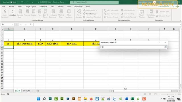 Tạo UserForm nhập liệu bằng VB trên excel | Phần 1 - Tạo sheet dữ liệu, thiết kế form viết code VB смотреть онлайн