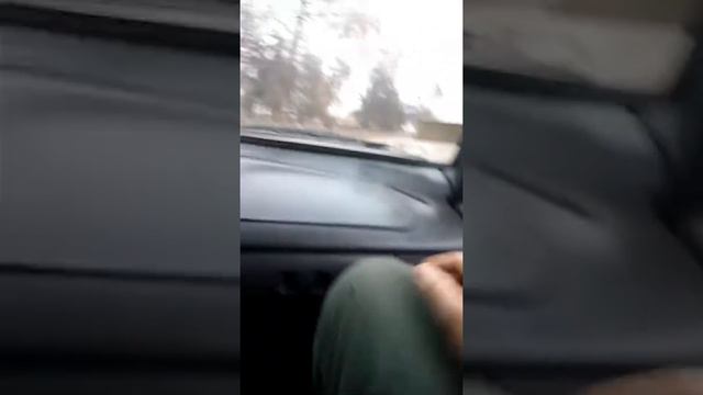 Брат Мопса смотреть онлайн