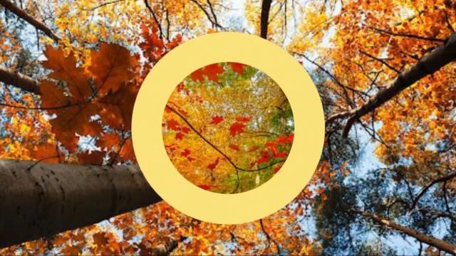 Осенний день смотреть онлайн