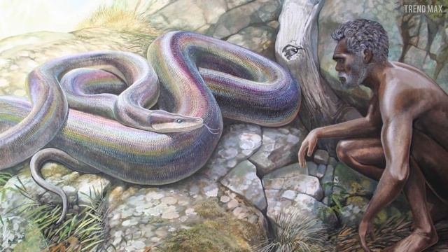 5 TERRIFYING PREHISTORIC SNAKES ? смотреть онлайн