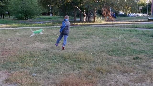 Кино на коленке PRO. ДЗ 3 Скример. смотреть онлайн