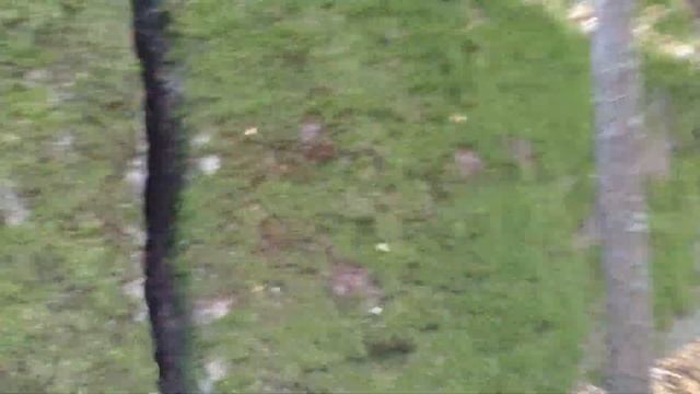 Каменное село, Олевск, Житомирская область смотреть онлайн