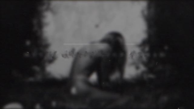 Wildways — Цветы (Lyric Video)