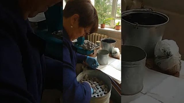 Исследование основных физико механических характеристик щебня часть 2 смотреть онлайн