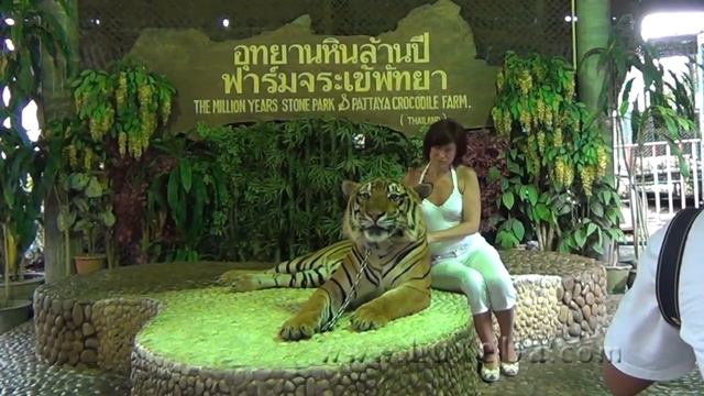 tiger смотреть онлайн