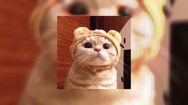 The Beauty of Existence (Sped Up) смотреть онлайн