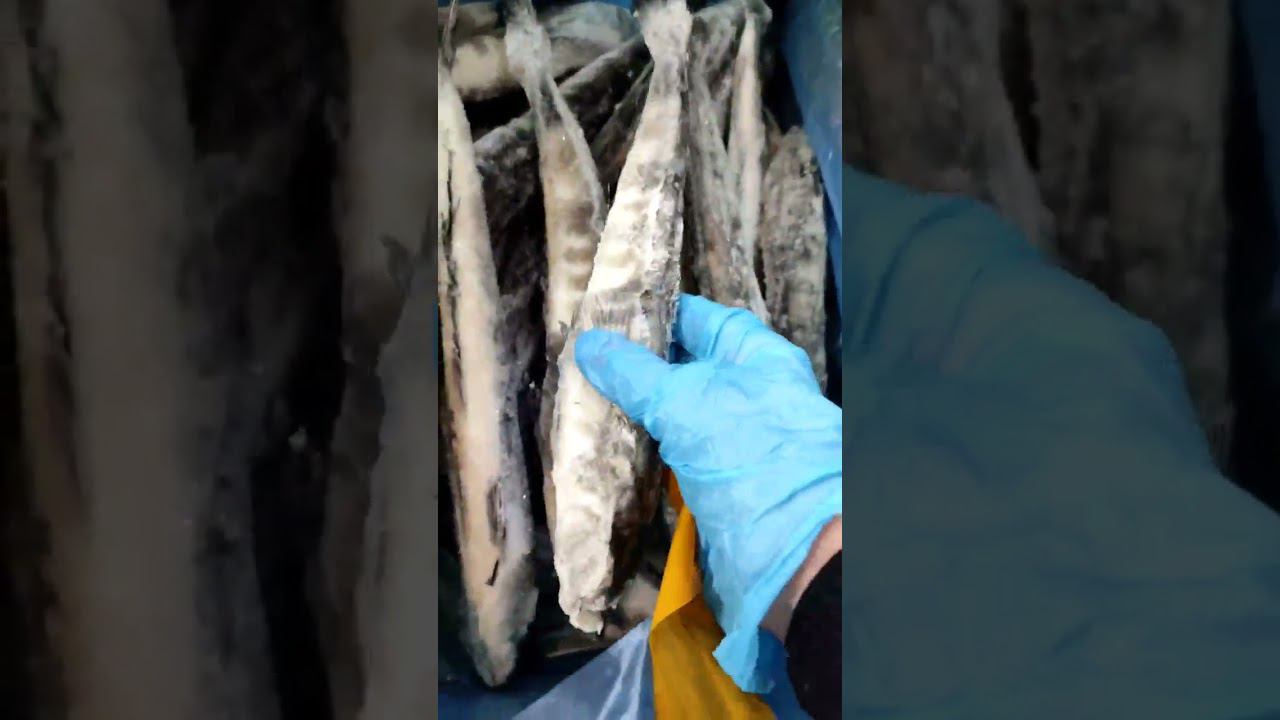 Ледяная рыба смотреть онлайн