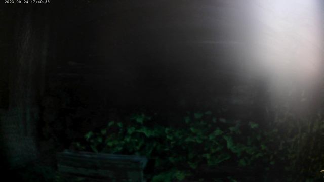 Far Cry 3 смотреть онлайн