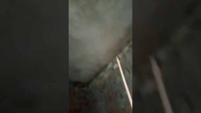 5 way diverter concealed fitting kaise karte hain смотреть онлайн