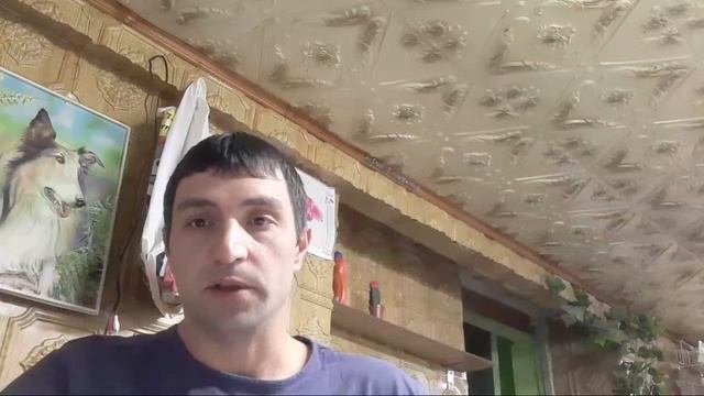ОрхоБудни с АГРОНОМОМ 24.11.2020 смотреть онлайн