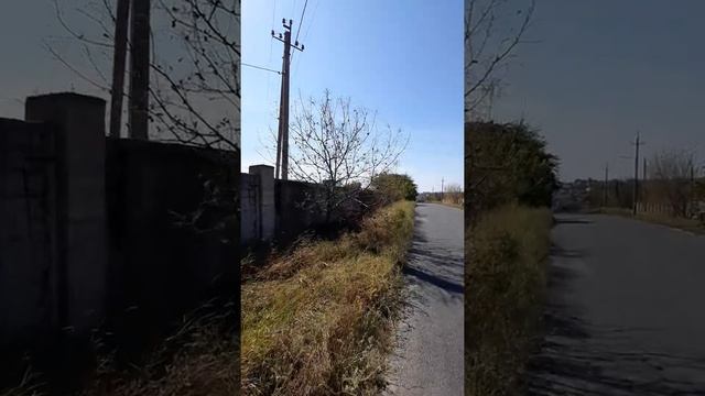 Американская белая бабочка ?. Не устоит даже грецкий орех. смотреть онлайн
