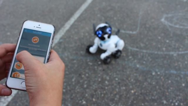 Wowwee Chip Robot Dog Blogger Review смотреть онлайн