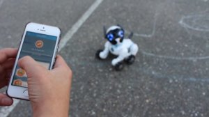 Wowwee Chip Robot Dog Blogger Review